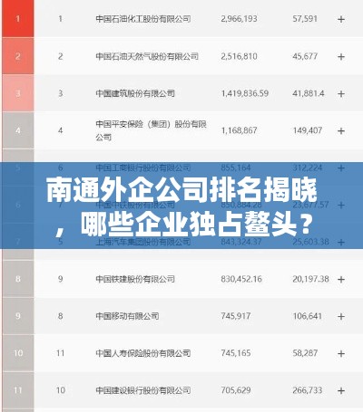 南通外企公司排名揭晓，哪些企业独占鳌头？