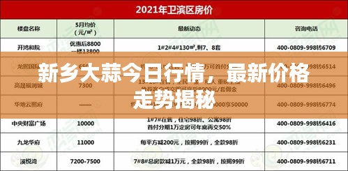 新乡大蒜今日行情，最新价格走势揭秘