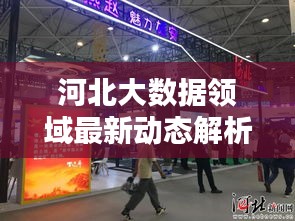 河北大数据领域最新动态解析，今日消息一网打尽
