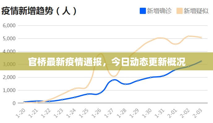 官桥最新疫情通报，今日动态更新概况