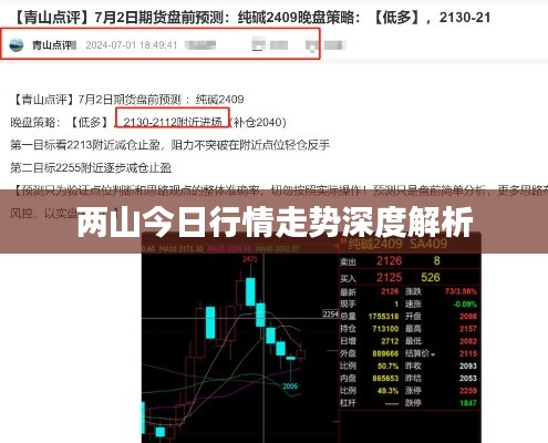 两山今日行情走势深度解析