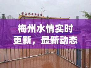 梅州水情实时更新，最新动态一网打尽