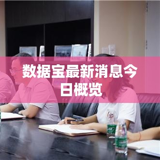 数据宝最新消息今日概览