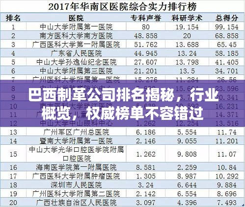 巴西制革公司排名揭秘，行业概览，权威榜单不容错过