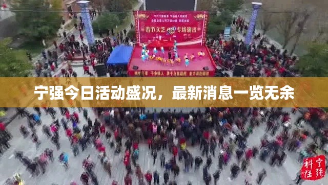 宁强今日活动盛况，最新消息一览无余