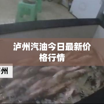 泸州汽油今日最新价格行情