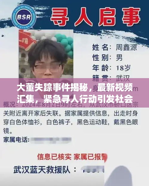 大董失踪事件揭秘，最新视频汇集，紧急寻人行动引发社会关注高潮