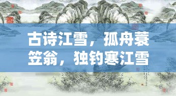 古诗江雪，孤舟蓑笠翁，独钓寒江雪