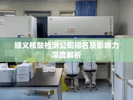 顺义核酸检测公司排名及影响力深度解析
