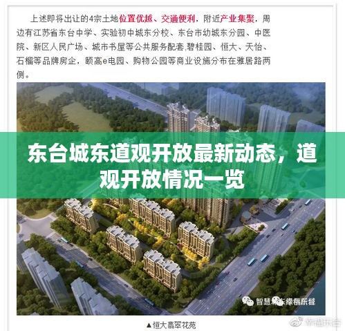 东台城东道观开放最新动态，道观开放情况一览