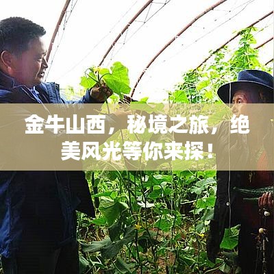 金牛山西，秘境之旅，绝美风光等你来探！