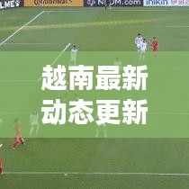 越南最新动态更新