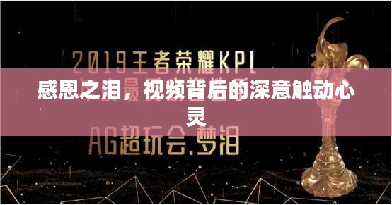 感恩之泪，视频背后的深意触动心灵