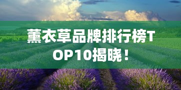 薰衣草品牌排行榜TOP10揭晓！