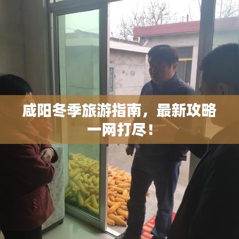 咸阳冬季旅游指南，最新攻略一网打尽！