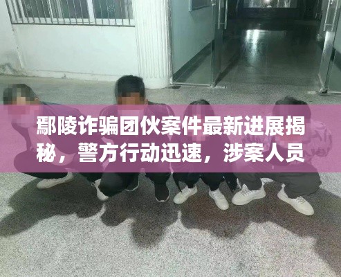 鄢陵诈骗团伙案件最新进展揭秘，警方行动迅速，涉案人员纷纷落网