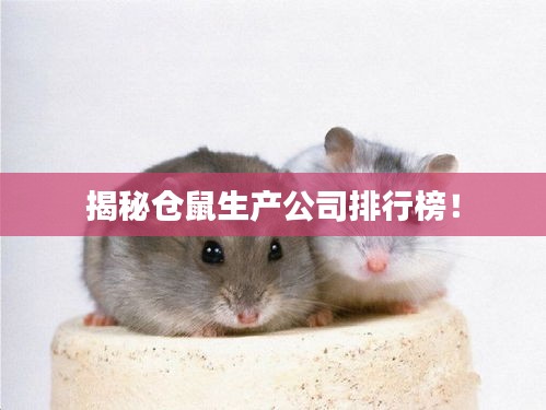 揭秘仓鼠生产公司排行榜！