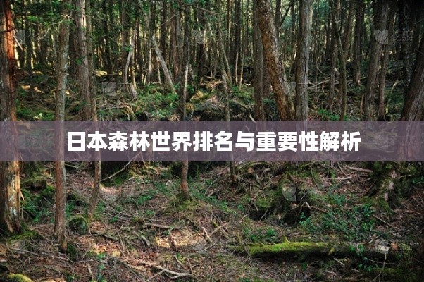日本森林世界排名与重要性解析