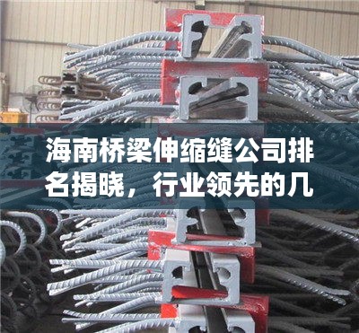 海南桥梁伸缩缝公司排名揭晓，行业领先的几家企业榜单