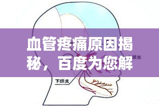 血管疼痛原因揭秘，百度为您解答