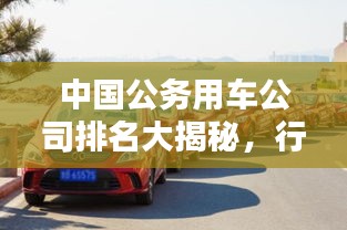 中国公务用车公司排名大揭秘，行业巨头一览无遗！