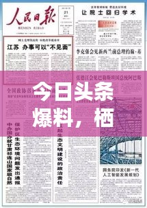 今日头条爆料，栖霞市最新动态速递