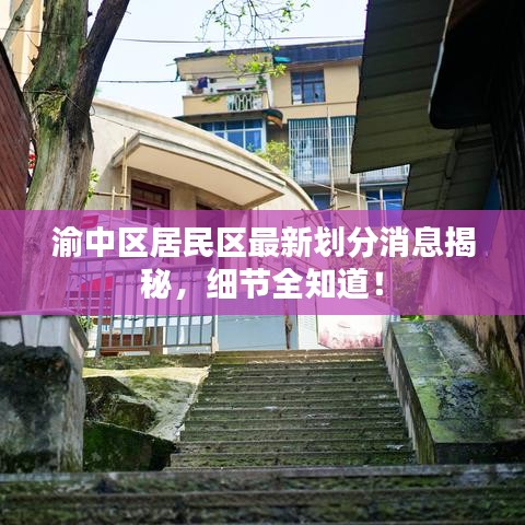 渝中区居民区最新划分消息揭秘，细节全知道！