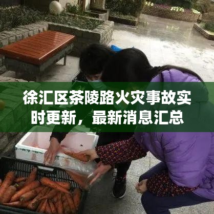 徐汇区茶陵路火灾事故实时更新，最新消息汇总
