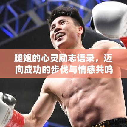 腿姐的心灵励志语录，迈向成功的步伐与情感共鸣
