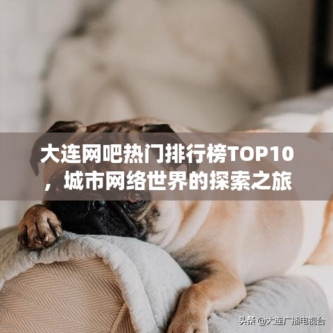 大连网吧热门排行榜TOP10，城市网络世界的探索之旅