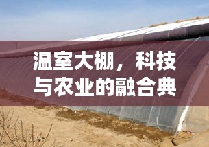 温室大棚，科技与农业的融合典范
