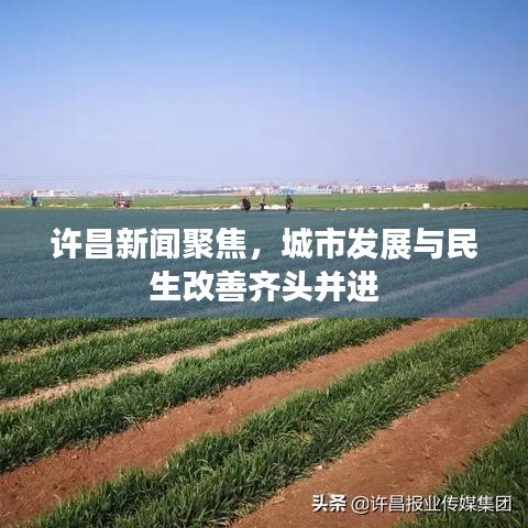 许昌新闻聚焦，城市发展与民生改善齐头并进