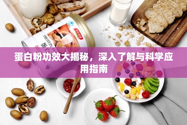 蛋白粉功效大揭秘，深入了解与科学应用指南