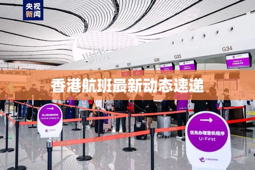香港航班最新动态速递