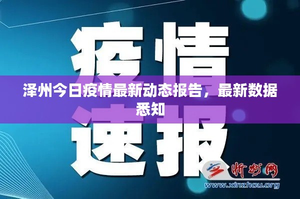 泽州今日疫情最新动态报告，最新数据悉知