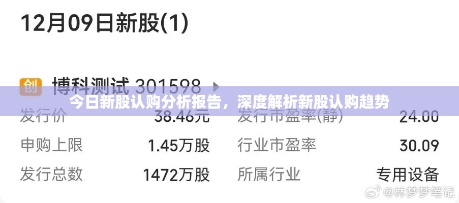 今日新股认购分析报告，深度解析新股认购趋势