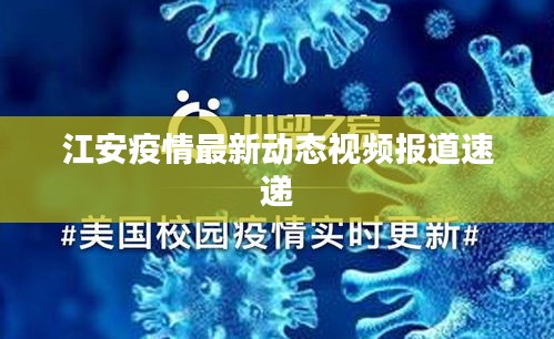 江安疫情最新动态视频报道速递