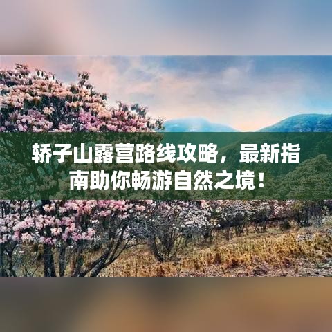 轿子山露营路线攻略，最新指南助你畅游自然之境！