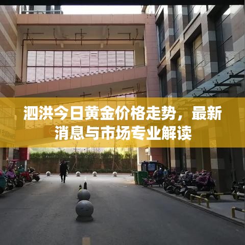 泗洪今日黄金价格走势，最新消息与市场专业解读