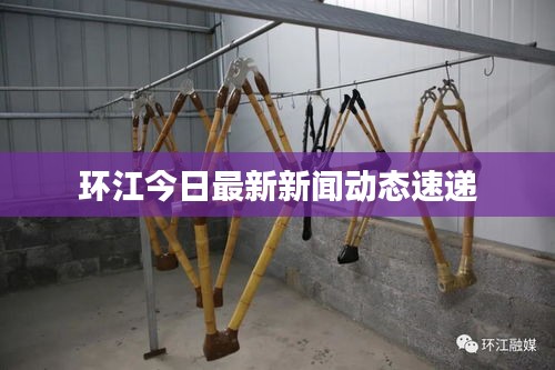 环江今日最新新闻动态速递