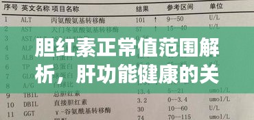 胆红素正常值范围解析，肝功能健康的关键指标