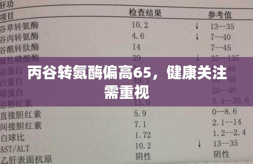 丙谷转氨酶偏高65，健康关注需重视