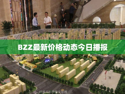 BZZ最新价格动态今日播报