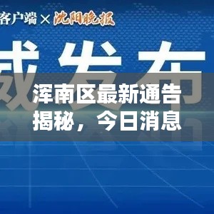 浑南区最新通告揭秘，今日消息一网打尽！