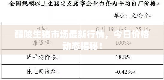 醴陵生猪市场最新行情，今日价格动态揭秘！