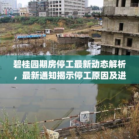 碧桂园期房停工最新动态解析，最新通知揭示停工原因及进展