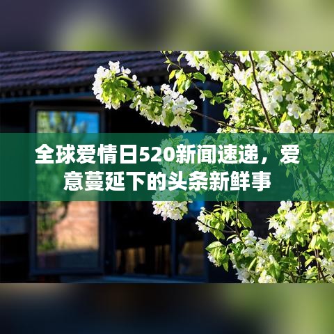 全球爱情日520新闻速递，爱意蔓延下的头条新鲜事