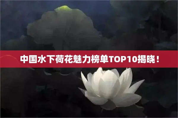 中国水下荷花魅力榜单TOP10揭晓！