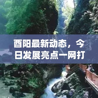 酉阳最新动态，今日发展亮点一网打尽