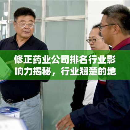 修正药业公司排名行业影响力揭秘，行业翘楚的地位与影响力分析